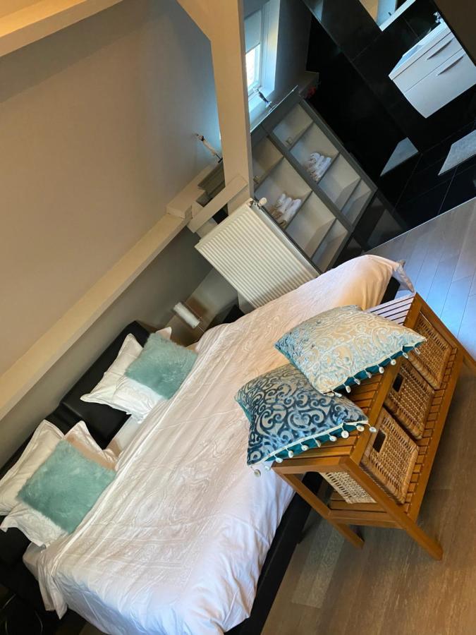 Cosy Studio Met Zwembad Beringen Kültér fotó